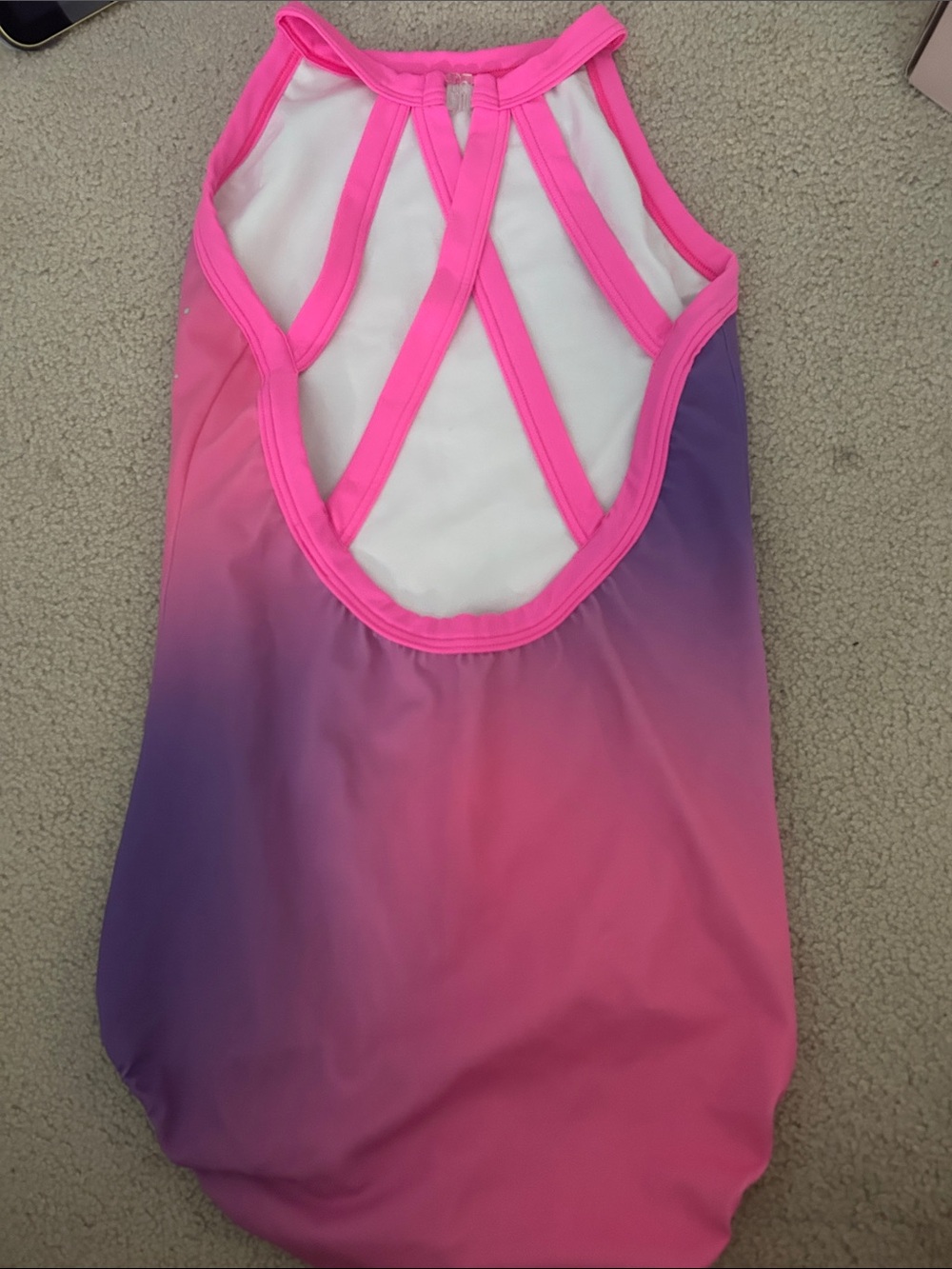Sylvia P Pink & Purple Ombre Sparkle Athletic Leotard - Picture 4 of 4
